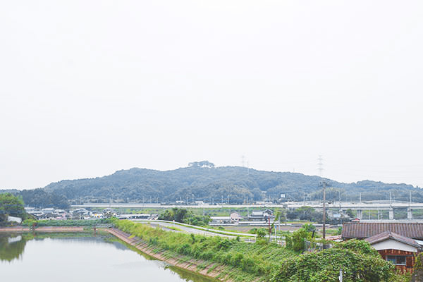 ぶどう直売所｜福岡県