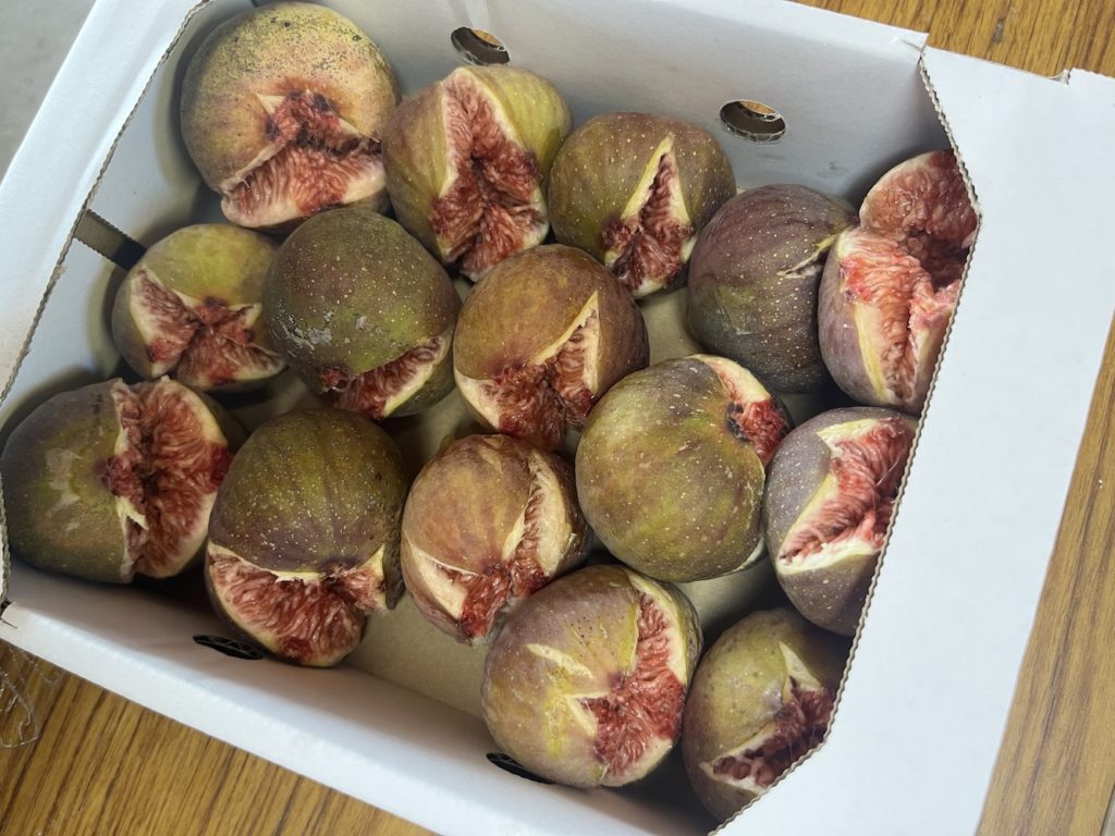 電話対応の「分離」で現場が変わる。事務負担を大幅軽減し、直売所スタッフの生産性が向上。